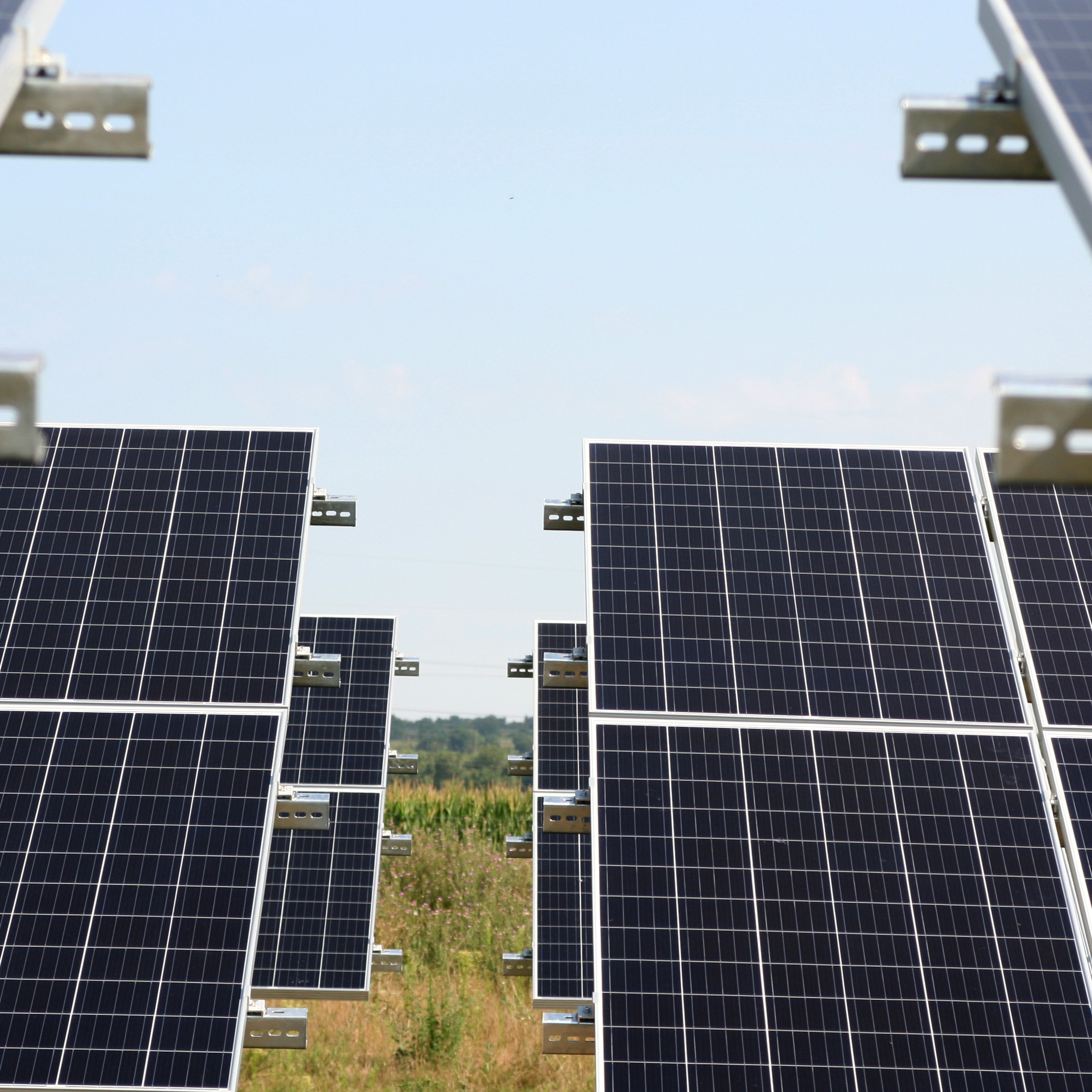 Bicske, 29*499 kWp Astrasun napelempark-flotta - kivitelezés folyamatban