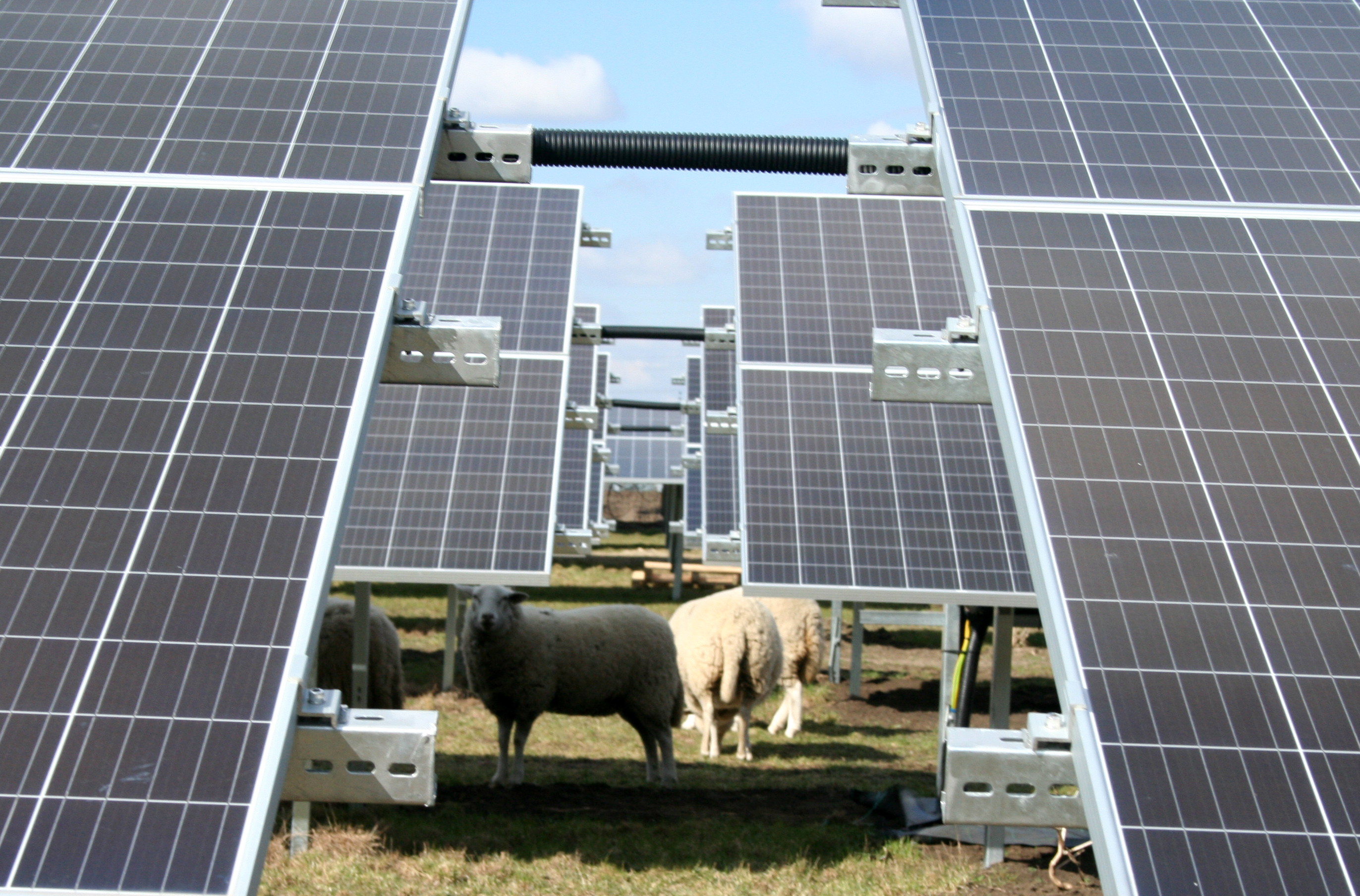 Bicske 14.5 MWp naperőmű - részleges bekapcsolás 2021 első felében